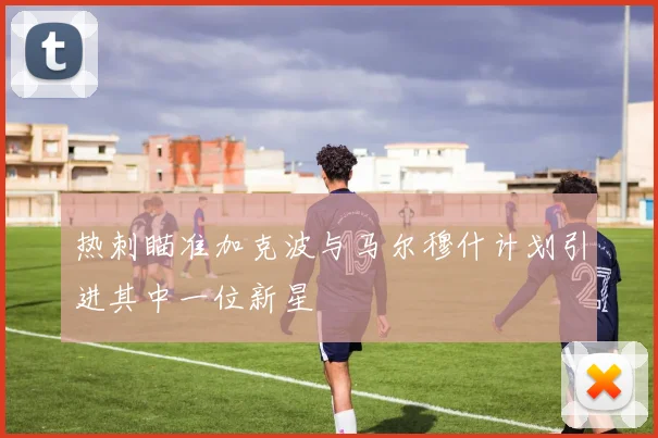 热刺瞄准加克波与马尔穆什计划引进其中一位新星